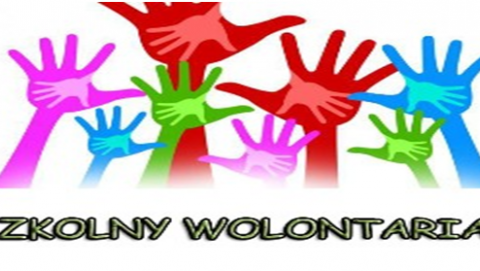 Wolontariat biblioteczny