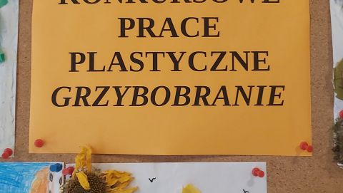 Wyniki konkurs plastyczny "Grzybobranie"